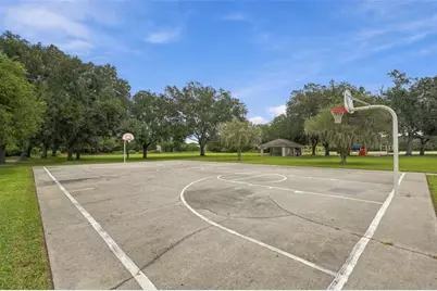 19401 Melody Fair Place, Lutz, FL 33558 - Photo 65