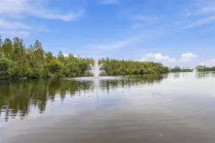 19401 Melody Fair Pl, Lutz, FL 33558 - Photo 55