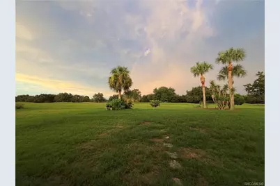 1802 W Shanelle Path, Lecanto, FL 34461 - Photo 47