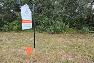 Lot 19 SW 137th Loop, Ocala, FL 34473 - Photo 1