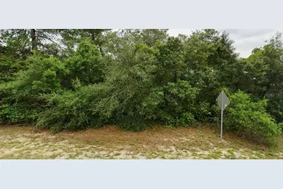 Lot 19 SW 137th Loop, Ocala, FL 34473 - Photo 1