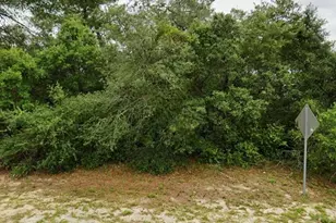 Lot 19 SW 137th Loop, Ocala, FL 34473 - Photo 1