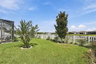 13344 Waterleaf Garden Cir, Riverview, FL 33579 - Photo 51