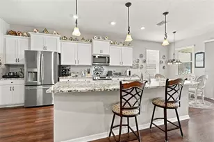 13344 Waterleaf Garden Cir, Riverview, FL 33579 - Photo 9