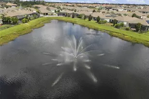 13344 Waterleaf Garden Cir, Riverview, FL 33579 - Photo 59