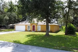 9010 McCormick St, Spring Hill, FL 34608 - Photo 43