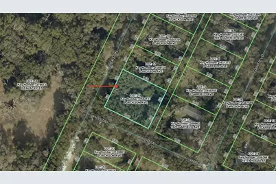 0 Jackson Avenue, Brooksville, FL 34604 - Photo 3