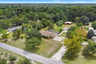 9328 Fred St, Hudson, FL 34669 - Photo 59