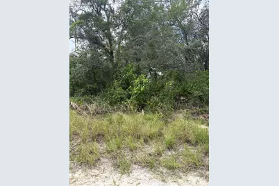 10333 Gilmer, New Port Richey, FL 34654 - Photo 1