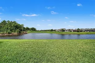 4303 Barbour Trl, Odessa, FL 33556 - Photo 39