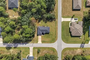 8009 N Primrose Dr, Citrus Springs, FL 34434 - Photo 39