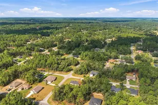 8009 N Primrose Dr, Citrus Springs, FL 34434 - Photo 41
