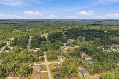 8009 N Primrose Drive, Citrus Springs, FL 34434 - Photo 41