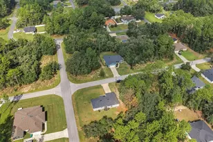8009 N Primrose Dr, Citrus Springs, FL 34434 - Photo 43