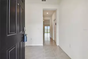 17253 Amber Aspen Wy, Land O Lakes, FL 34638 - Photo 11