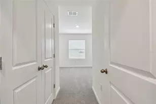 17253 Amber Aspen Wy, Land O Lakes, FL 34638 - Photo 61