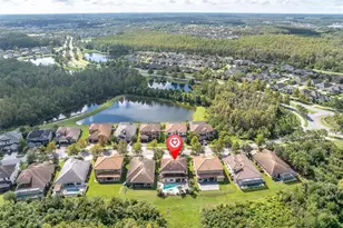 12813 Berrypick Trail, Odessa, FL 33556 - Photo 65