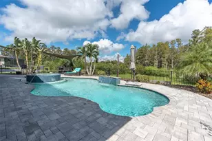 12813 Berrypick Trail, Odessa, FL 33556 - Photo 3