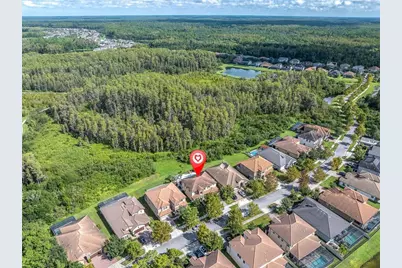 12813 Berrypick Trail, Odessa, FL 33556 - Photo 7