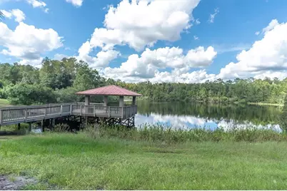 19722 Lonesome Pine Drive, Land O Lakes, FL 34638 - Photo 57