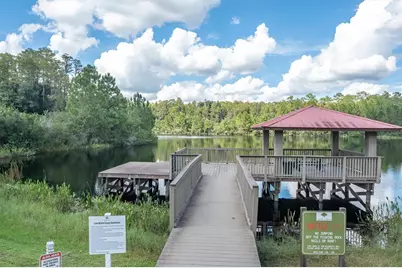 19722 Lonesome Pine Drive, Land O Lakes, FL 34638 - Photo 59
