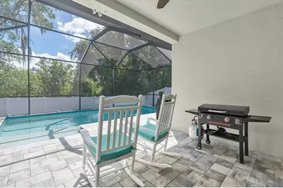 19722 Lonesome Pine Drive, Land O Lakes, FL 34638 - Photo 41