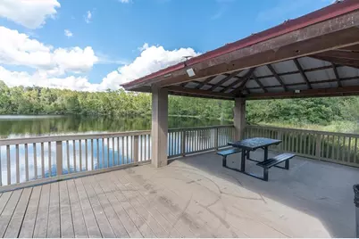 19722 Lonesome Pine Drive, Land O Lakes, FL 34638 - Photo 61