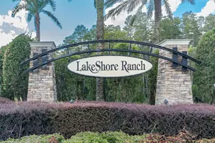 19722 Lonesome Pine Dr, Land O Lakes, FL 34638 - Photo 49