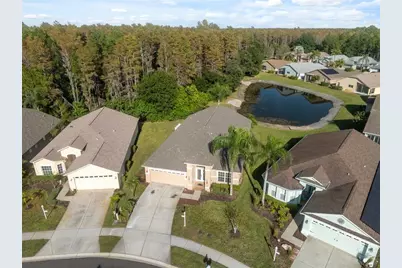 1201 Dustan Place, Trinity, FL 34655 - Photo 37