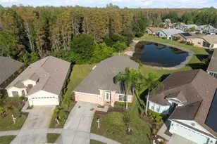 1201 Dustan Pl, Trinity, FL 34655 - Photo 37