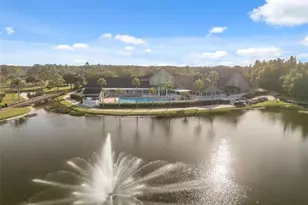 1201 Dustan Pl, Trinity, FL 34655 - Photo 51