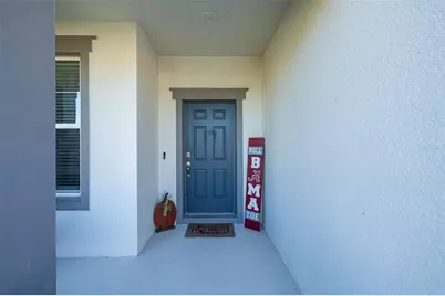9224 Rally Spring Loop, Wesley Chapel, FL 33545 - Photo 5