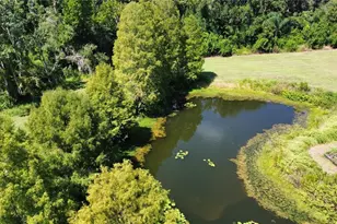 24202 State Road 64 E, Myakka City, FL 34251 - Photo 57