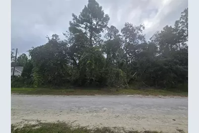 English Sparrow Road, Weeki Wachee, FL 34614 - Photo 1