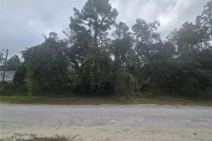English Sparrow Rd, Weeki Wachee, FL 34614 - Photo 1