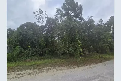 English Sparrow Road, Weeki Wachee, FL 34614 - Photo 3