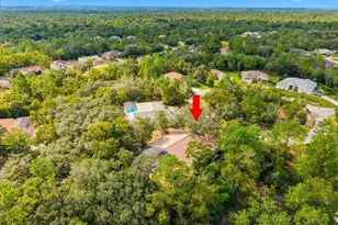 18 Dahlia Ct S, Homosassa, FL 34446 - Photo 37