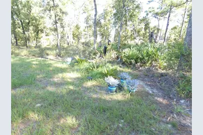 11397 Latchwood Avenue, Weeki Wachee, FL 34614 - Photo 27