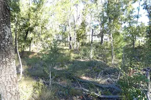 11397 Latchwood Ave, Weeki Wachee, FL 34614 - Photo 29