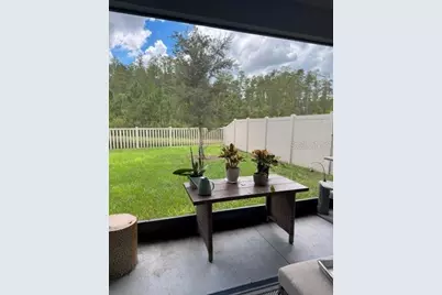 17222 Mango Shay Court, Land O Lakes, FL 34638 - Photo 21