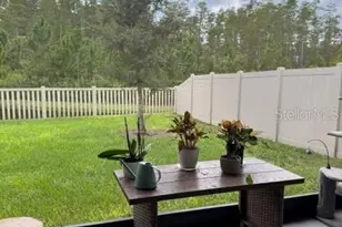 17222 Mango Shay Ct, Land O Lakes, FL 34638 - Photo 21