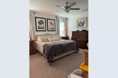 17222 Mango Shay Court, Land O Lakes, FL 34638 - Photo 5