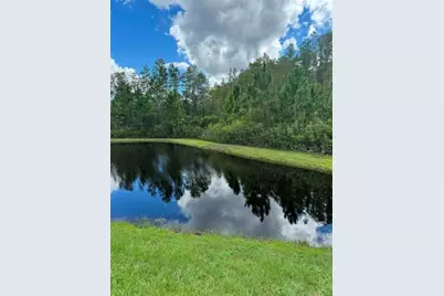 17222 Mango Shay Court, Land O Lakes, FL 34638 - Photo 23