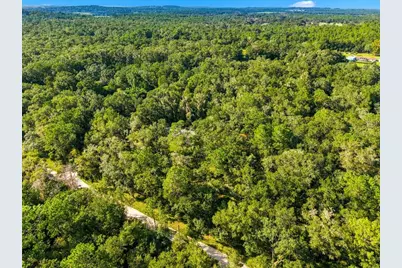 24403 McCaw Road, Brooksville, FL 34601 - Photo 3