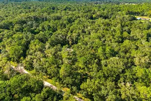 24403 McCaw Rd, Brooksville, FL 34601 - Photo 3