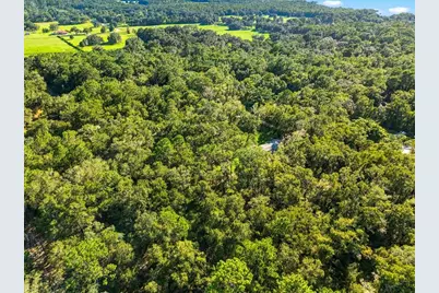 24403 McCaw Road, Brooksville, FL 34601 - Photo 7