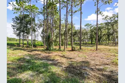 15504 Lenway Road, Spring Hill, FL 34610 - Photo 3