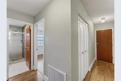 1112 E Lemon Street, Tarpon Springs, FL 34689 - Photo 53