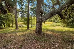 17932 Wendy Sue Ave, Hudson, FL 34667 - Photo 89