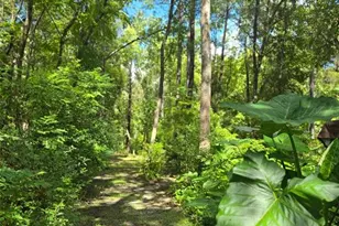19995 Manecke Rd, Brooksville, FL 34601 - Photo 23